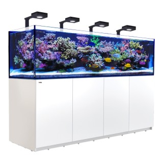 REEFER XXL 750 - Black